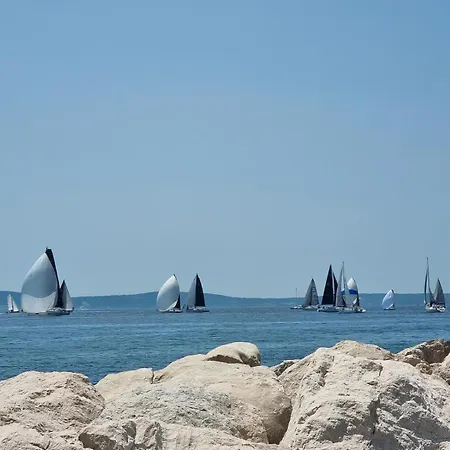 Alida Luxe アパート